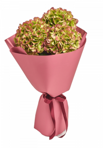 Bouquet of red chrysanthemums